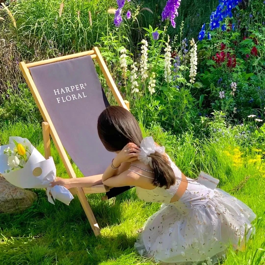 凯洛的末日日常